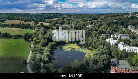 Vue aérienne de plusieurs étangs dans une forêt dans le nord de Londres Banque D'Images