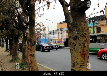 Xochimilco, mexico city. Banque D'Images