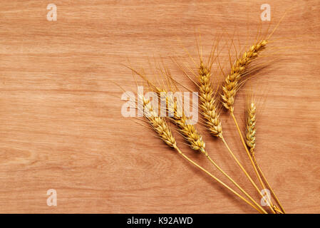 Les épis de blé après la récolte des cultures de céréales, l'agriculture et l'élevage concept avec copie espace Banque D'Images