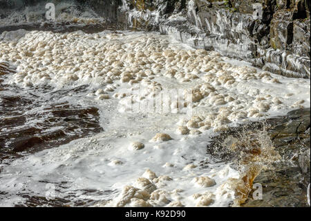 La mousse sur le fleuve Tees Banque D'Images