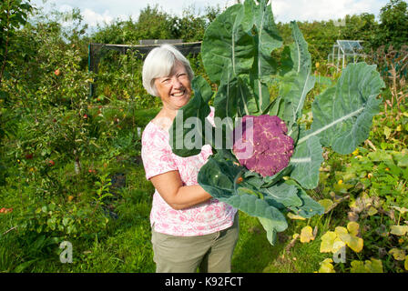 Plus d'âge moyen/ allotissement femelle titulaire (amatuer jardinier) holding large violet vif chou-fleur sicilienne qu'elle vient tout juste de passé et cueillies. Banque D'Images