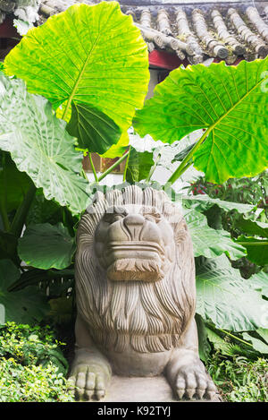 Lion statue en pierre avec de grosses feuilles en arrière-plan dans le parc baihuatan, Chengdu Banque D'Images