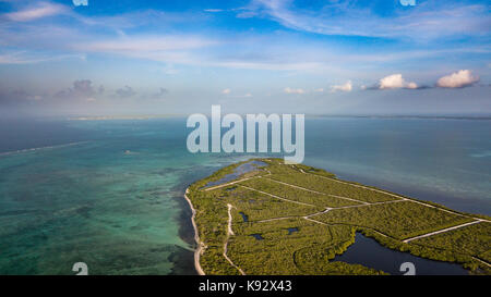 Une forêt de mangrove à distance menant sur une grande lagune de corail, tropical, Banque D'Images