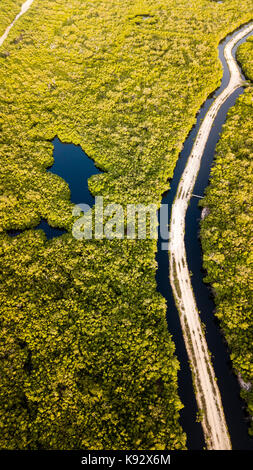 Vue aérienne d'une route de terre qui traverse la forêt de mangrove inondées Banque D'Images