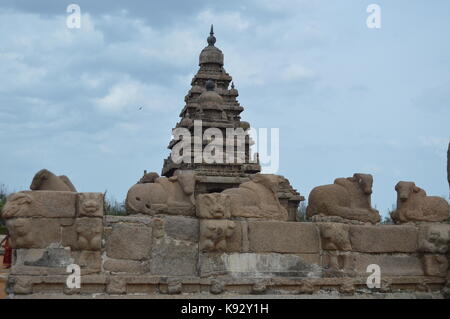 Shore temple,, Mahabalipuram, Tamil Nadu, Inde Banque D'Images