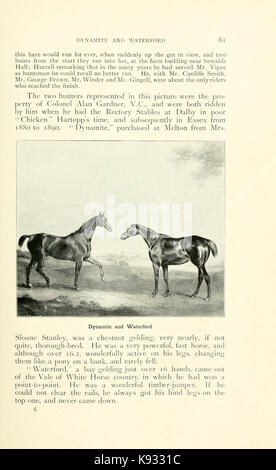 Les feuilles d'un journal de chasse dans l'Essex (page 81) BHL20365940 Banque D'Images