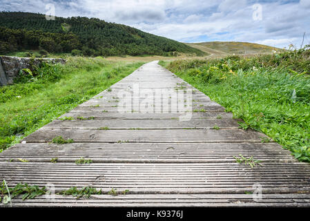 Jetée sur un pont ou sur une dune de sable. pont en bois, de la jetée faite de bandes est formant un chemin sur une dune de sable menant à ocean beach, gal soesto. Banque D'Images