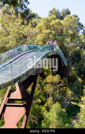 Les gens sur le parc Kings Lotterywest Federation pont passerelle, Perth, Australie Banque D'Images