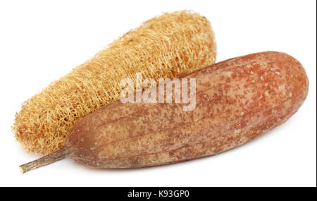 Épurateur naturel de ridge gourd sur fond blanc Banque D'Images