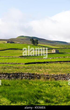 La vue sur Gayle et Dodd est tombé de Bainbridge dans le Parc National des Yorkshire Dales Yorkshire Angleterre Royaume-Uni UK Banque D'Images