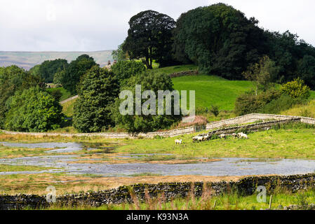 La vue sur Gayle et Dodd est tombé de Bainbridge dans le Parc National des Yorkshire Dales Yorkshire Angleterre Royaume-Uni UK Banque D'Images