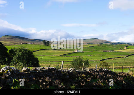 La vue sur Gayle et Dodd est tombé de Bainbridge dans le Parc National des Yorkshire Dales Yorkshire Angleterre Royaume-Uni UK Banque D'Images