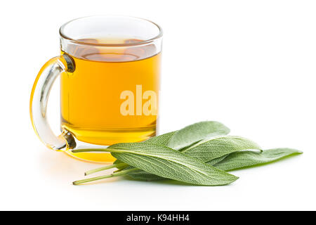 Le thé de sauge et de feuilles de sauge. infusion faite à partir de feuilles de sauge. médicinales Salvia officinalis. Banque D'Images
