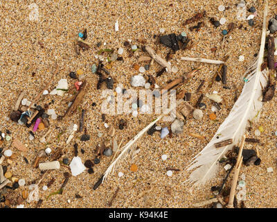 Plages et Piscines roche polluée par des déchets de plastique micro lavés dans de la marée. 21, septembre, 2017 Robert Taylor/Alamy live news, Newquay. Banque D'Images