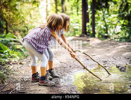 Enfants randonnées en montagne ou forêt avec des chaussures de randonnée sport. les filles jouent et l'apprentissage dans la nature avec des bâtons et boueux flaque. Banque D'Images