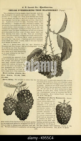 Lovett's illustrated catalogue des arbres fruitiers et ornementaux et des plantes à l'automne de 1891 (16379926714) Banque D'Images