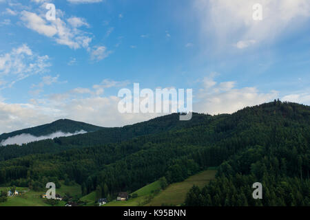 Vue aérienne de la forêt noire Allemagne près de Fribourg à l'aube avec brouillard et ciel bleu Banque D'Images