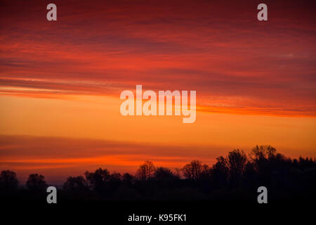 Silhouettes d'arbres à l'horizon contre un ciel rouge. Paysage pour quelques moments avant le lever du soleil. Banque D'Images