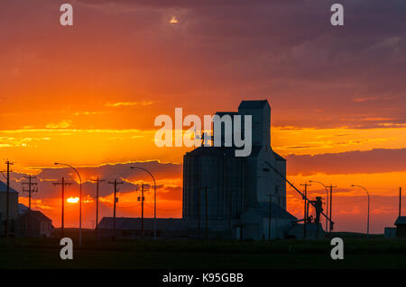 Les silos à grains au coucher du soleil, Warner, Alberta, Canada Banque D'Images