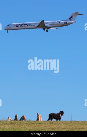 Un 'andes' prêt pour l'atterrissage de l'avion à Buenos Aires, Argentine. Banque D'Images