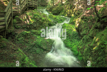 Vue partielle de la promenade comme il suit le long de la cascade de chutes Dickson, baie de Fundy, parc national de Fundy, Nouveau-Brunswick, Canada Banque D'Images