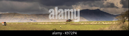 L'agriculteur a travaillé à sayles ferme près de Colton avec une toile de fond formée par coniston le vieil homme avec des nuages sombres casting shadows au-dessus de lui sur un su Banque D'Images