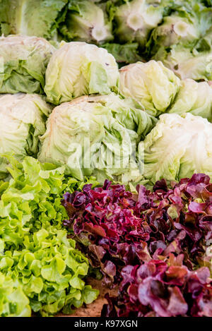 Tas de salade verte et rouge gentilina et romain laitue sur market stall Banque D'Images