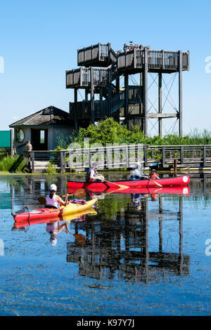 Les visiteurs sur un jour d'été au parc national de la Pointe-Pelée, canoë, kayak et profiter de la vue depuis le haut de la tour d'observation, de l'Ontario, Canada. Banque D'Images