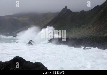 L'état de la mer se briser sur les roches, Cape Palliser, Wairarapa, île du Nord, Nouvelle-Zélande Banque D'Images