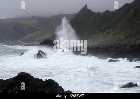 L'état de la mer se briser sur les roches, Cape Palliser, Wairarapa, île du Nord, Nouvelle-Zélande Banque D'Images