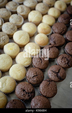 Close-up de cup cakes disposés en rangée Banque D'Images