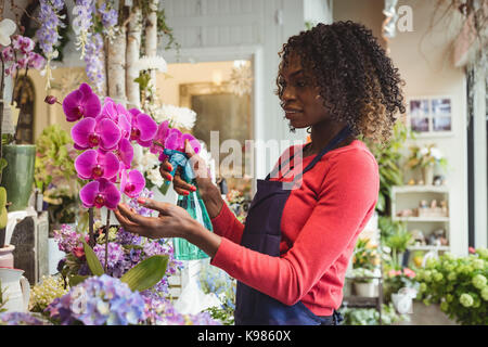 Female florist pulvériser de l'eau sur les fleurs dans le magasin de fleurs Banque D'Images