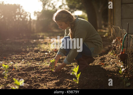 Vue latérale du jeune femme la plantation de jeunes arbres à la ferme Banque D'Images