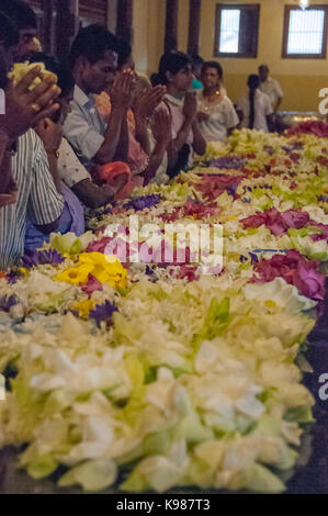 Les dévots prient avec des fleurs au Temple de la Dent à Kandy, Sri Lanka. Banque D'Images