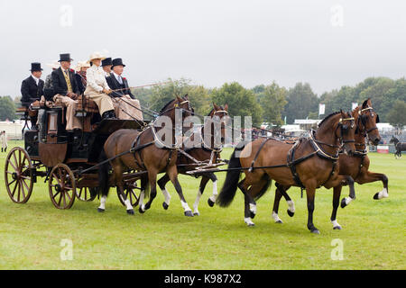 Un dessin chevaux 8 places transport omnibus victorienne Banque D'Images