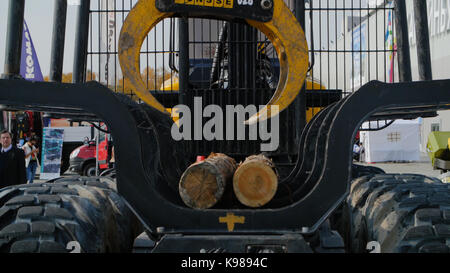 Chargement de matériel lourd avec clipper cut logs. grand log loader et des opérations dans le journal de triage à un journal de conifères Banque D'Images