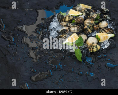 Palourdes crues avec du citron frais, des herbes et épices sur glace ébréchée sur toile ardoise foncé Banque D'Images