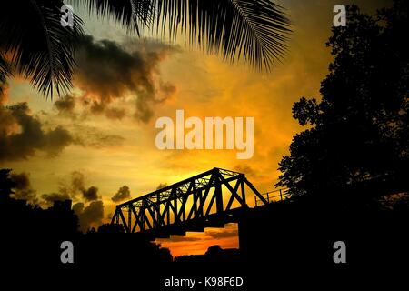 Pont à poutre-caisson en jungle silhouetté contre un coucher de soleil brillant Banque D'Images