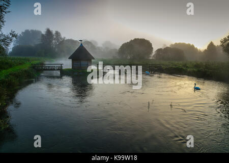 Le soleil perce la brume sur la rivière Eel Test Pont piège, Longstock, Hampshire, Royaume-Uni. Banque D'Images