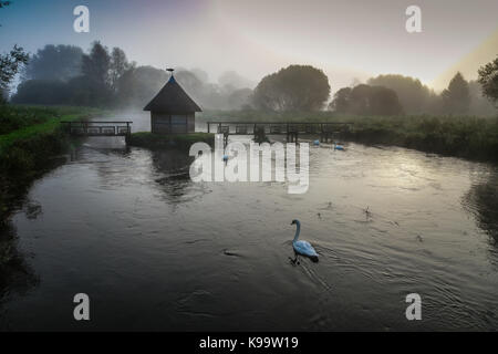 Le soleil perce la brume sur la rivière Eel Test Pont piège, Longstock, Hampshire, Royaume-Uni. Banque D'Images