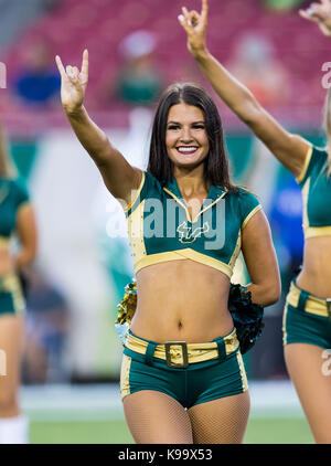 Tampa, Floride, USA. Sep 21, 2017. South Florida Bulls cheerleader avant le match entre le Temple Owls et le South Florida Bulls chez Raymond James Stadium de Tampa, Floride. Del Mecum/CSM/Alamy Live News Banque D'Images