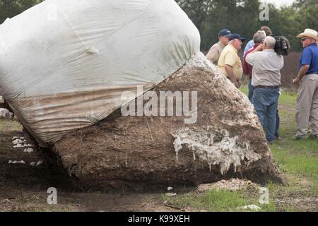 El Campo, USA. Sep 21, 2017. secrétaire de l'agriculture des États-Unis sonny perdue (chemise jaune), président de l'agriculture de la chambre mike conaway (tan) et le Texas la commissaire à l'agriculture, sid miller (bleu) d'exploitations de coton ravagé par l'ouragan Harvey il y a trois semaines. crédit : bob daemmrich/Alamy live news Banque D'Images