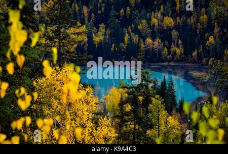 Kanas. 22 sep, 2017. photo prise sur sept. 22, 2017 présente le décor de l'automne de la rivière yueliang dans la zone panoramique de kanas, nord-ouest de la Chine, la région autonome du Xinjiang Uygur. crédit : Zhao ge/Xinhua/Alamy live news Banque D'Images