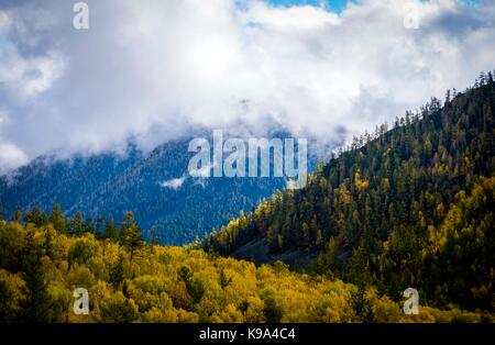 Kanas. 22 sep, 2017. photo prise sur sept. 22, 2017 présente le décor de l'automne de la région scénique kanas dans le nord-ouest de la Chine, la région autonome du Xinjiang Uygur. crédit : Zhao ge/Xinhua/Alamy live news Banque D'Images