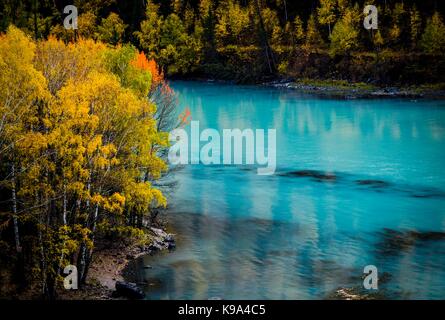 Kanas. 22 sep, 2017. photo prise sur sept. 22, 2017 présente le décor de l'automne de la rivière de Wolong dans la zone panoramique de kanas, nord-ouest de la Chine, la région autonome du Xinjiang Uygur. crédit : Zhao ge/Xinhua/Alamy live news Banque D'Images