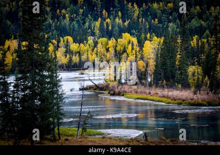 Kanas. 22 sep, 2017. photo prise sur sept. 22, 2017 présente le décor de l'automne de la région scénique kanas dans le nord-ouest de la Chine, la région autonome du Xinjiang Uygur. crédit : Zhao ge/Xinhua/Alamy live news Banque D'Images