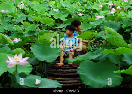 Les enfants d'Asie s'asseoir sur le petit pont, jouer ensemble à l'étang de lotus, deux frère heureux avec l'activité de plein air en été, delta du Mekong, Vietnam Banque D'Images