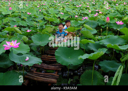 Les enfants d'Asie s'asseoir sur le petit pont, jouer ensemble à l'étang de lotus, deux frère heureux avec l'activité de plein air en été, delta du Mekong, Vietnam Banque D'Images