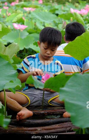 Les enfants d'Asie s'asseoir sur le petit pont, jouer ensemble à l'étang de lotus, deux frère heureux avec l'activité de plein air en été, delta du Mekong, Vietnam Banque D'Images