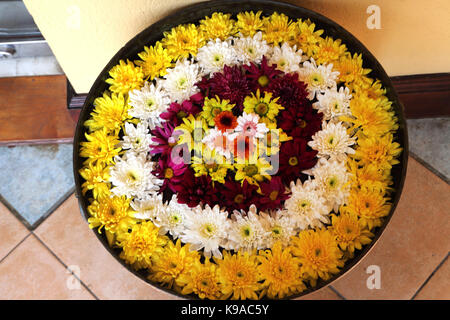 Tennekumbura Kandy au Sri Lanka l'hôtel Earl's Regency fleurs en pot en cuivre Banque D'Images